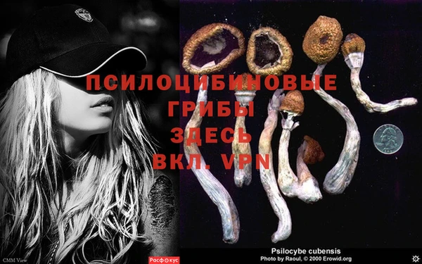 эйфоретик Алзамай
