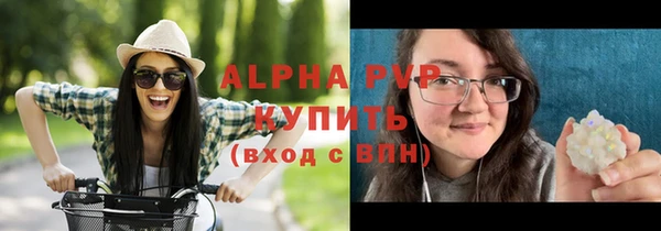 винт Алексин