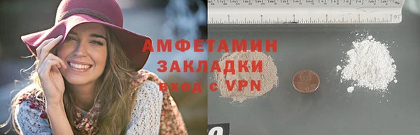 прущие грибы Абаза