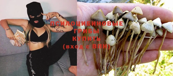 винт Алексин