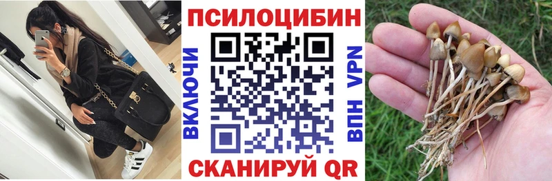 даркнет сайт  Фролово  Галлюциногенные грибы MAGIC MUSHROOMS 